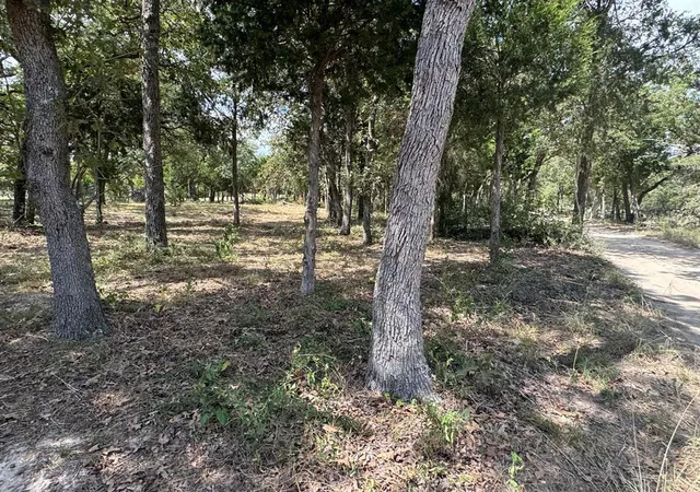 Photo 3 of Land for sale at [lot 1] 000 Jordan Ln, Elgin, TX 78621 | MLS# 5490431 | Listing updated on 2026-06-05