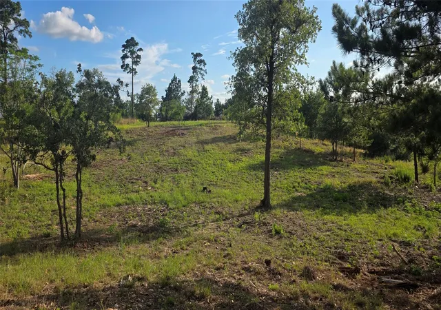 Homes for sale in Bastrop, TX | 400 Mcallister Rd, Bastrop, TX 78602 | MLS# 2870539