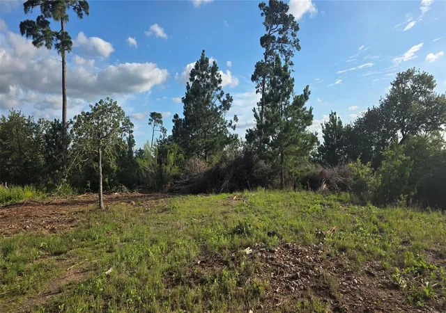 Photo 3 of Land for sale at 400 Mcallister Rd, Bastrop, TX 78602 | MLS# 2870539 | Listing updated on 2026-07-10