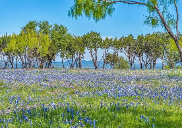 13th image of 3531 Rm 3347, Round Mountain, TX 78663 | MLS# 6724709