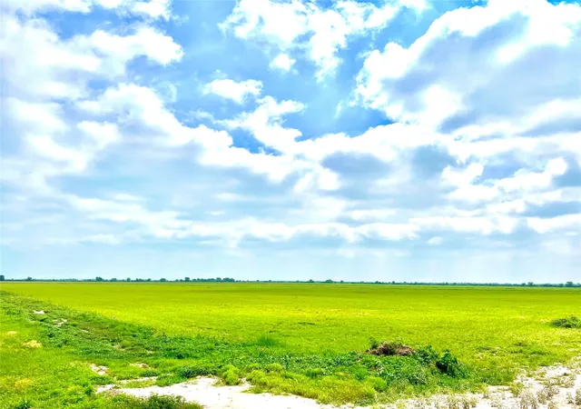 Homes for sale in Eagle Lake, TX | Tbd Tract 4 Beal Rd, Eagle Lake, TX 77434 | MLS# 8911926