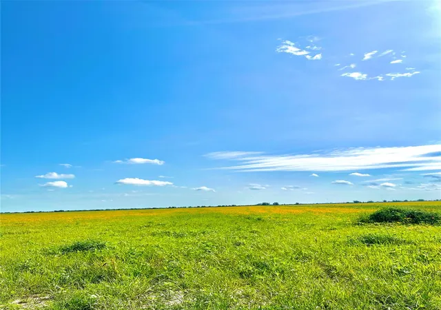 Homes for sale in Eagle Lake, TX | Tbd Tract 4 Beal Rd, Eagle Lake, TX 77434 | MLS# 8911926