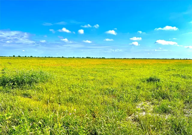 Homes for sale in Eagle Lake, TX | Tbd Tract 4 Beal Rd, Eagle Lake, TX 77434 | MLS# 8911926