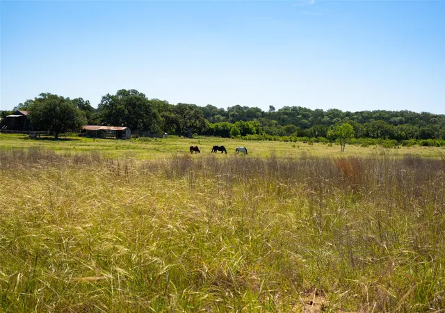 Photo 4 of House for sale at 1294 Crabapple Rd, Blanco, TX 78606 | MLS# 8022313 | Listing updated on 2026-09-25