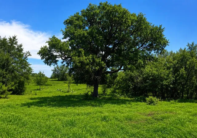 Photo 3 of House for sale at Tbd E Fm 580, Lampasas, TX 76550 | MLS# 4575781 | Listing updated on 2026-05-22