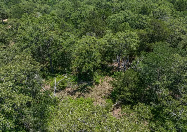 14th image of 000 Clay Ln, Brenham, TX 77833 | MLS# 8196080