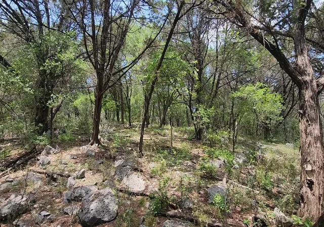 1st image of 410 Owl Hollow Rd, San Marcos, TX 78666 | MLS# 7754574