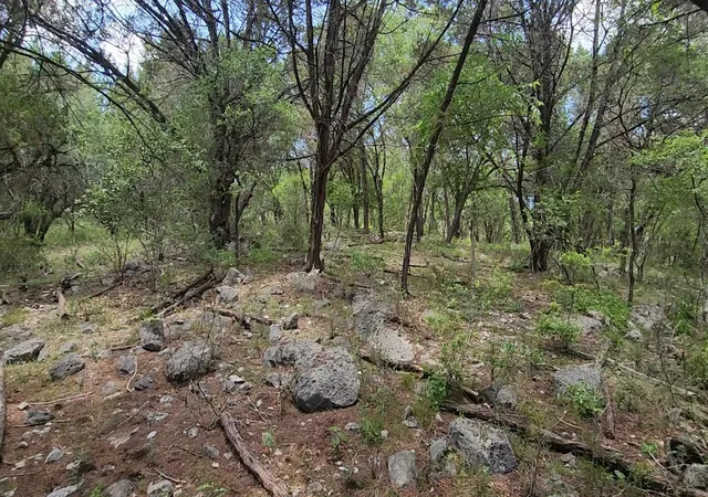 3rd image of 410 Owl Hollow Rd, San Marcos, TX 78666 | MLS# 7754574