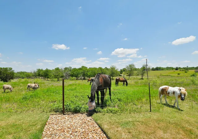 Photo 23 of Single family home for sale at 524 Ferrule Dr, Kyle, TX 78640 | MLS# 4303302 | Listing updated on 2026-10-09