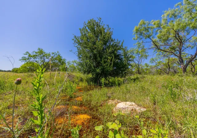 2nd image of Tbd County Road 180 Rolling Pond Ranch Rd, Purmela, TX 76566 | MLS# 2372062