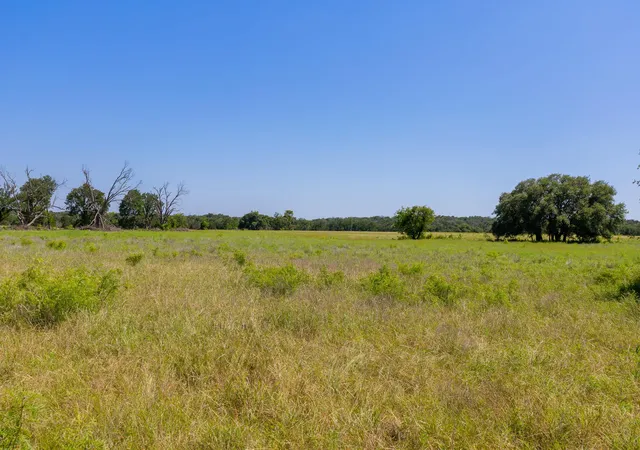 21st image of Tbd County Road 180 Rolling Pond Ranch Rd, Purmela, TX 76566 | MLS# 2372062