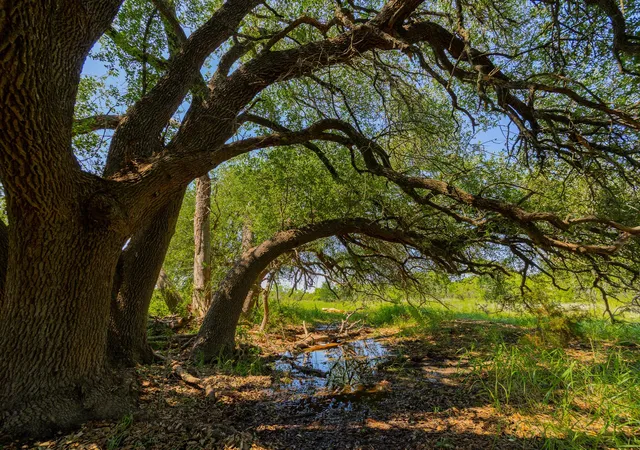 5th image of Tbd County Road 180 Rolling Pond Ranch Rd, Purmela, TX 76566 | MLS# 2372062