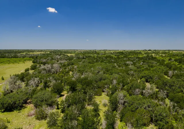33rd image of Tbd County Road 180 72 Ac Rd, Purmela, TX 76566 | MLS# 9906519
