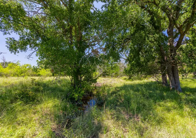 5th image of Tbd County Road 180 72 Ac Rd, Purmela, TX 76566 | MLS# 9906519