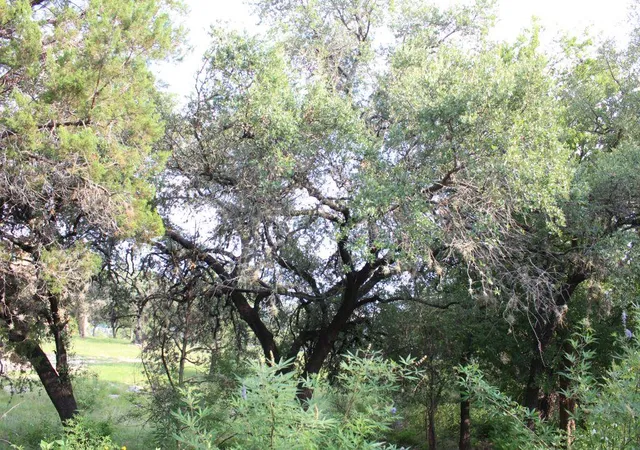 18th image of 738 Deckhouse Dr, Lago Vista, TX 78645 | MLS# 2411491