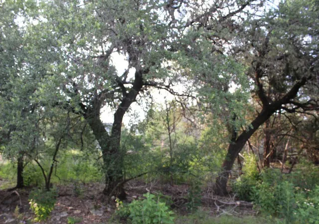 5th image of 738 Deckhouse Dr, Lago Vista, TX 78645 | MLS# 2411491