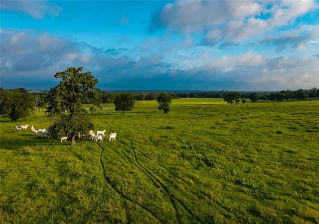 3rd image of 000 Hoffereck Rd, Rosanky, TX 78953 | MLS# 4597207