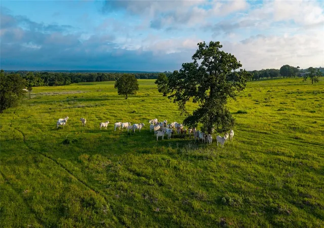4th image of 000 Hoffereck Rd, Rosanky, TX 78953 | MLS# 4597207