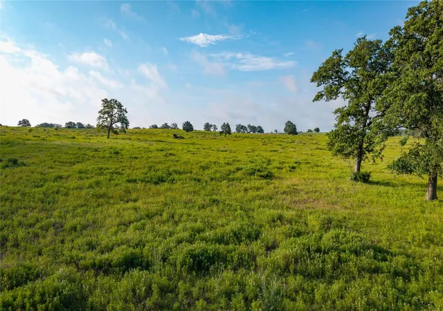 5th image of 000 Hoffereck Rd, Rosanky, TX 78953 | MLS# 4597207