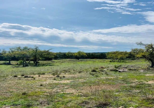 Homes for sale in Johnson City, TX | Lot 40 Prancing Deer Ln, Johnson City, TX 78636 | MLS# 9808774