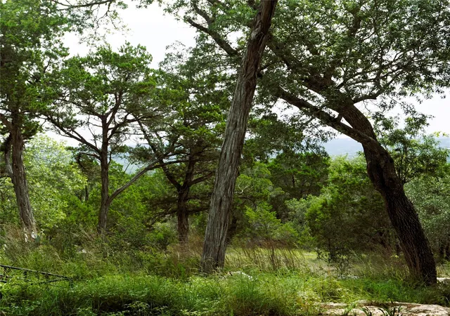 3rd image of 850 Days End Rd, Wimberley, TX 78676 | MLS# 7710986