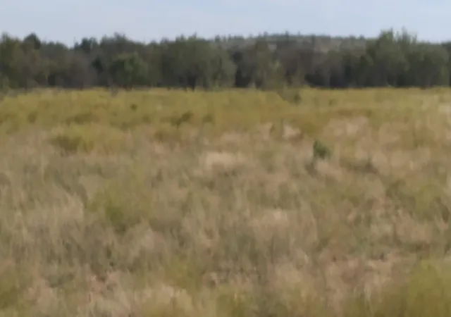 10th image of O County Road 266, Comanche, TX 76455 | MLS# 3040515