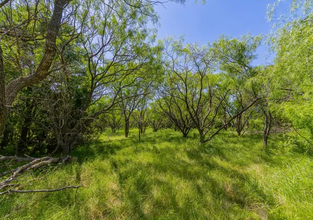 2nd image of Tbd County Road 180 Covered Meadows Ranch Rd, Purmela, TX 76566 | MLS# 9076816
