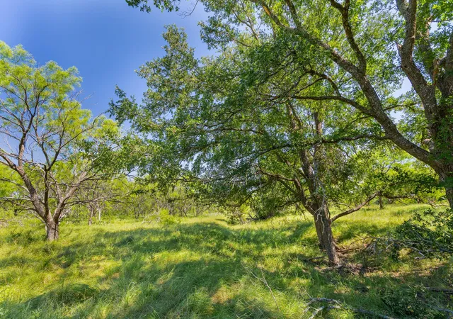 3rd image of Tbd County Road 180 Covered Meadows Ranch Rd, Purmela, TX 76566 | MLS# 9076816