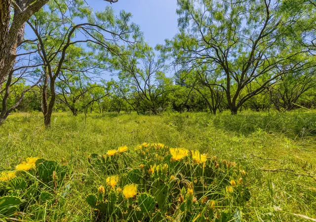 4th image of Tbd County Road 180 Covered Meadows Ranch Rd, Purmela, TX 76566 | MLS# 9076816