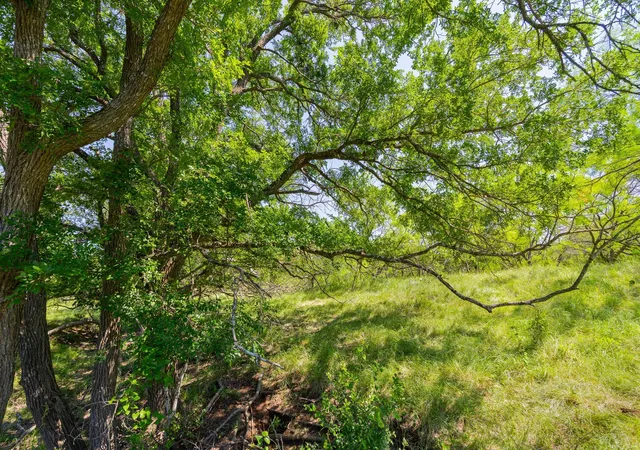 5th image of Tbd County Road 180 Covered Meadows Ranch Rd, Purmela, TX 76566 | MLS# 9076816