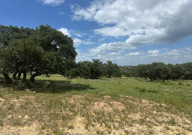 Homes for sale in San Saba, TX | 140 Longview Ln, San Saba, TX 76877 | MLS# 5153646