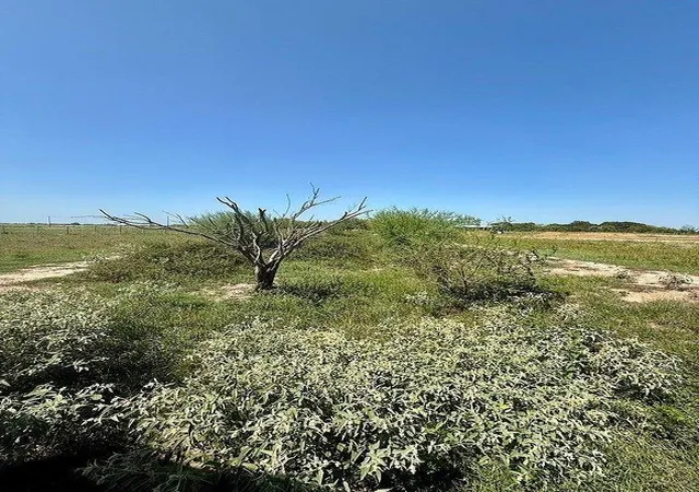 13th image of 1993 Fm 2761, Cat Spring, TX 78933 | MLS# 1375856