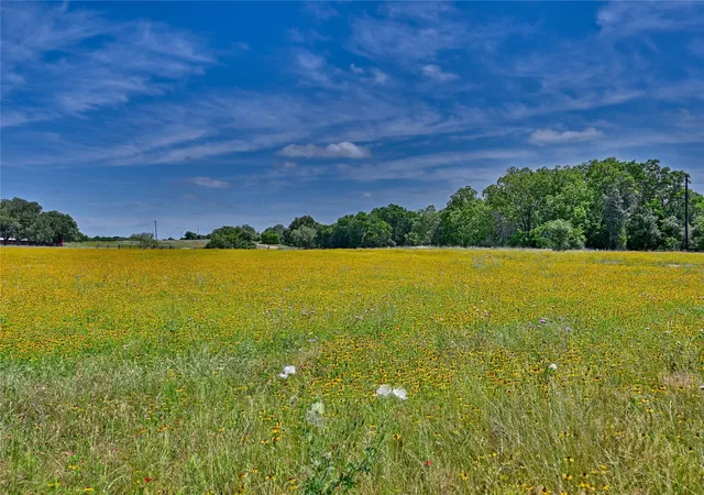 Homes for sale in Weimar, TX | 2165 County Road 250 Rd, Weimar, TX 78962 | MLS# 9081912