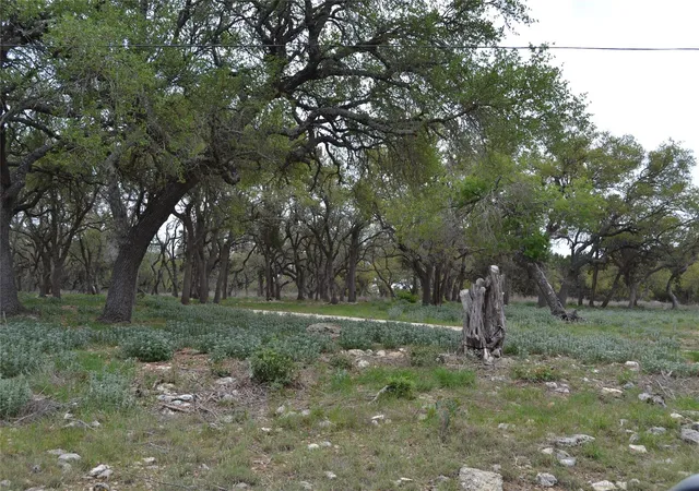 32nd image of 4016 Mcgregor Ln Lot 1 2, Dripping Springs, TX 78620 | MLS# 6786704