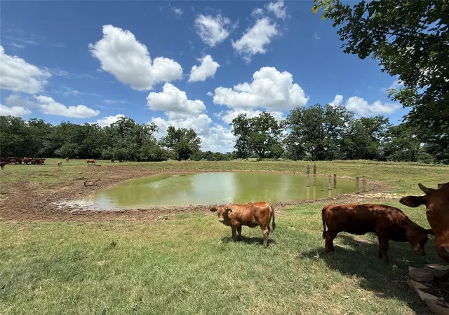 4th image of 314 Fm 2571, Smithville, TX 78957 | MLS# 6454122