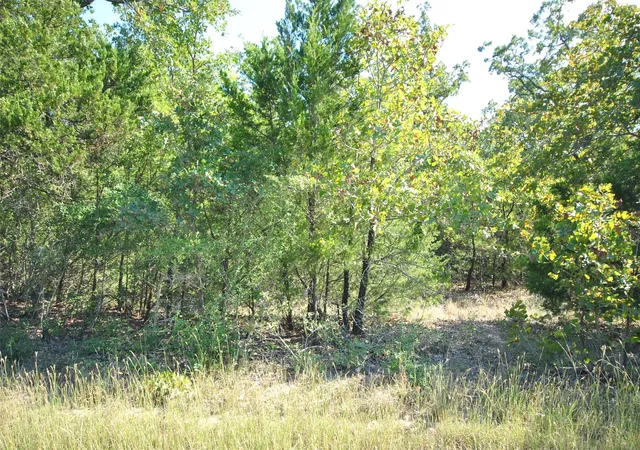 5th image of 0 Lcr 910, Jewett, TX 75846 | MLS# 5304139