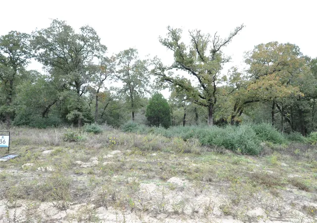 Homes for sale in Thrall, TX | Tbd Oakview Ln, Thrall, TX 76578 | MLS# 2114695