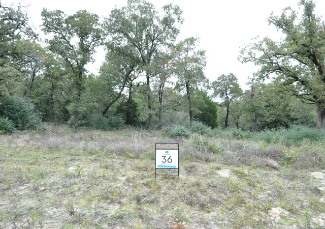 Homes for sale in Thrall, TX | Tbd Oakview Ln, Thrall, TX 76578 | MLS# 2114695