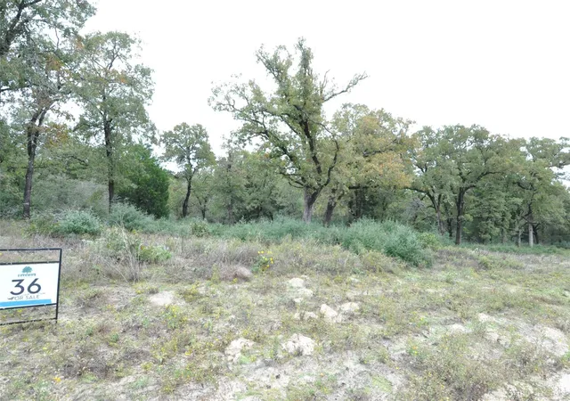 Homes for sale in Thrall, TX | Tbd Oakview Ln, Thrall, TX 76578 | MLS# 2114695
