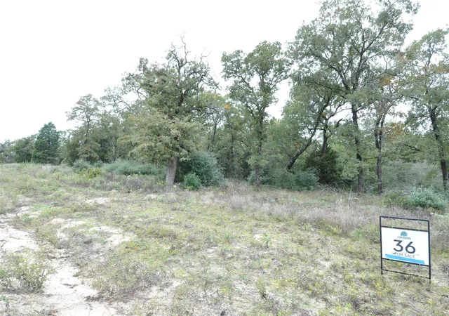 Homes for sale in Thrall, TX | Tbd Oakview Ln, Thrall, TX 76578 | MLS# 2114695