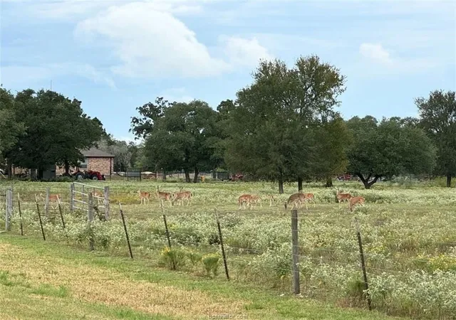 Homes for sale in Giddings, TX | 1102 Private Road 2332, Giddings, TX 78942 | MLS# 8113908