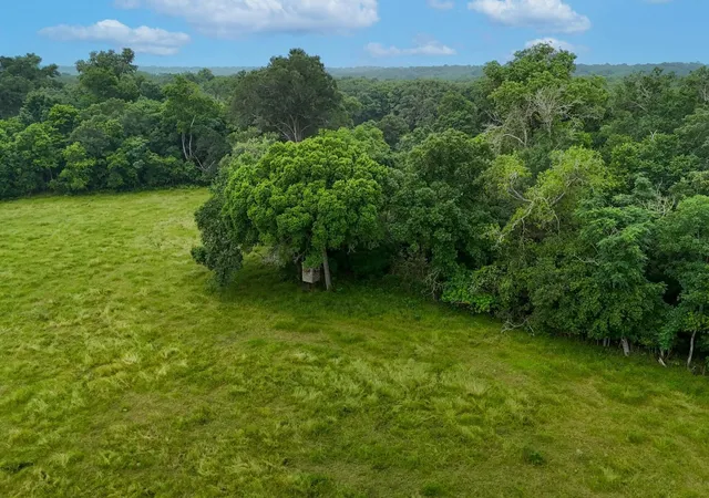 3rd image of 645 Jerrys Crk, Lockhart, TX 78644 | MLS# 3533678