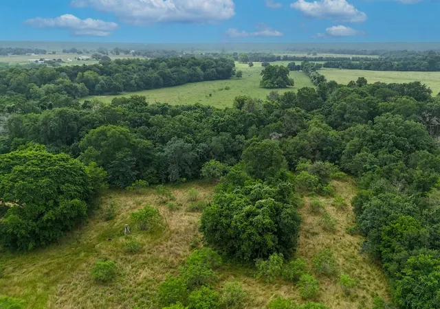 5th image of 645 Jerrys Crk, Lockhart, TX 78644 | MLS# 3533678