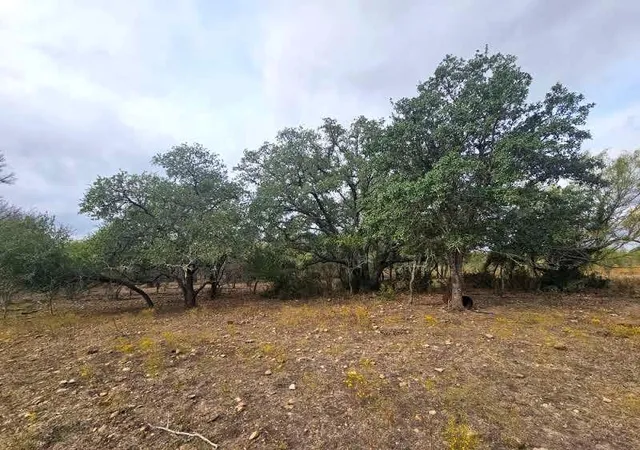 1st image of 415 Black Watch Ln, Lockhart, TX 78644 | MLS# 7937134