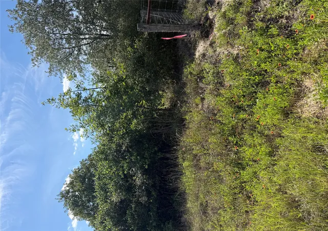Photo 2 of Land for sale at Tbd Mockingbird Ln, Bastrop, TX 78602 | MLS# 2024968 | Listing updated on 2026-08-25