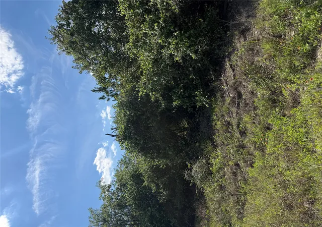 Photo 3 of Land for sale at Tbd Mockingbird Ln, Bastrop, TX 78602 | MLS# 2024968 | Listing updated on 2026-08-25