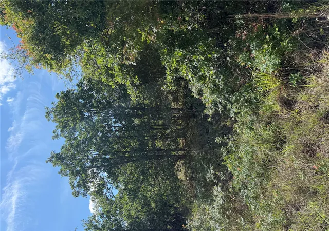Photo 4 of Land for sale at Tbd Mockingbird Ln, Bastrop, TX 78602 | MLS# 2024968 | Listing updated on 2026-08-25