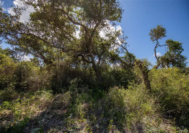 Photo 35 of Land for sale at 0 N Mccampbell St And E Young Ave, Aransas Pass, TX 78336 | MLS# 2740396 | Listing updated on 2026-08-13