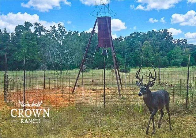 3rd image of Tbd Fm 908 (+/-1,057 Acres), Caldwell, TX 77836 | MLS# 5909271