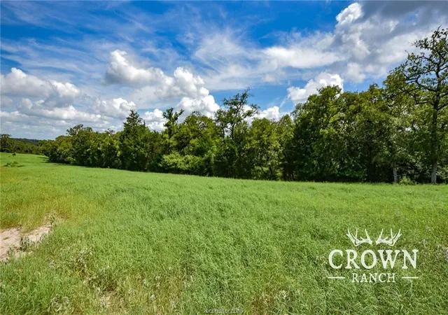 4th image of Tbd Fm 908 (+/-1,057 Acres), Caldwell, TX 77836 | MLS# 5909271
